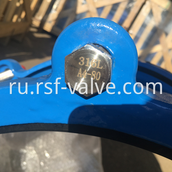 316l Bolt And Nut Flexible Coupling 2